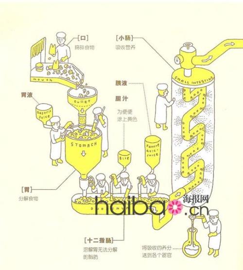透过便便形状看健康